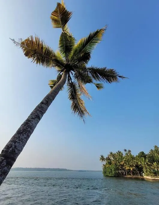 Villa A Glass Haven On The Tranquil Munroe Islands Kollam